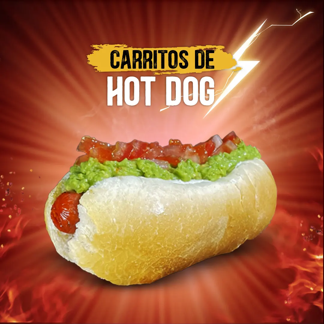 carrito de comida, carritos express